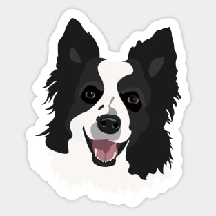 Black and White Border Collie Dog Face Drawing Sticker